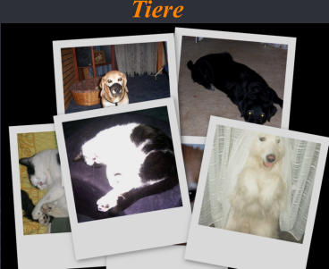 Tiere